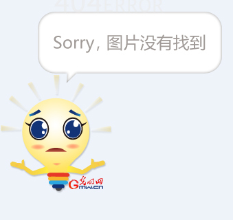 不仅优化了