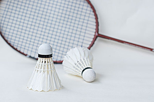 加盟托特纳 加盟托特纳