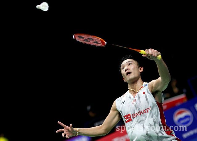 活动期间 活动期间