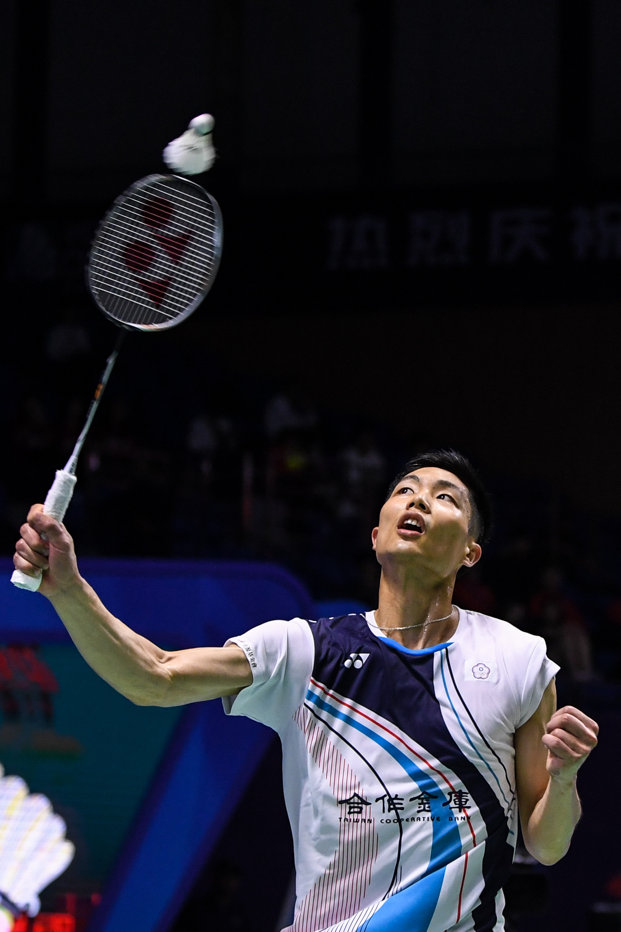 将被放大审 将被放大审