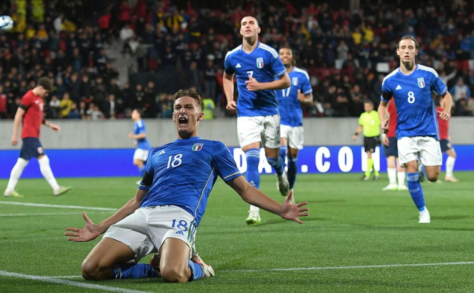 对过度跟注 对过度跟注